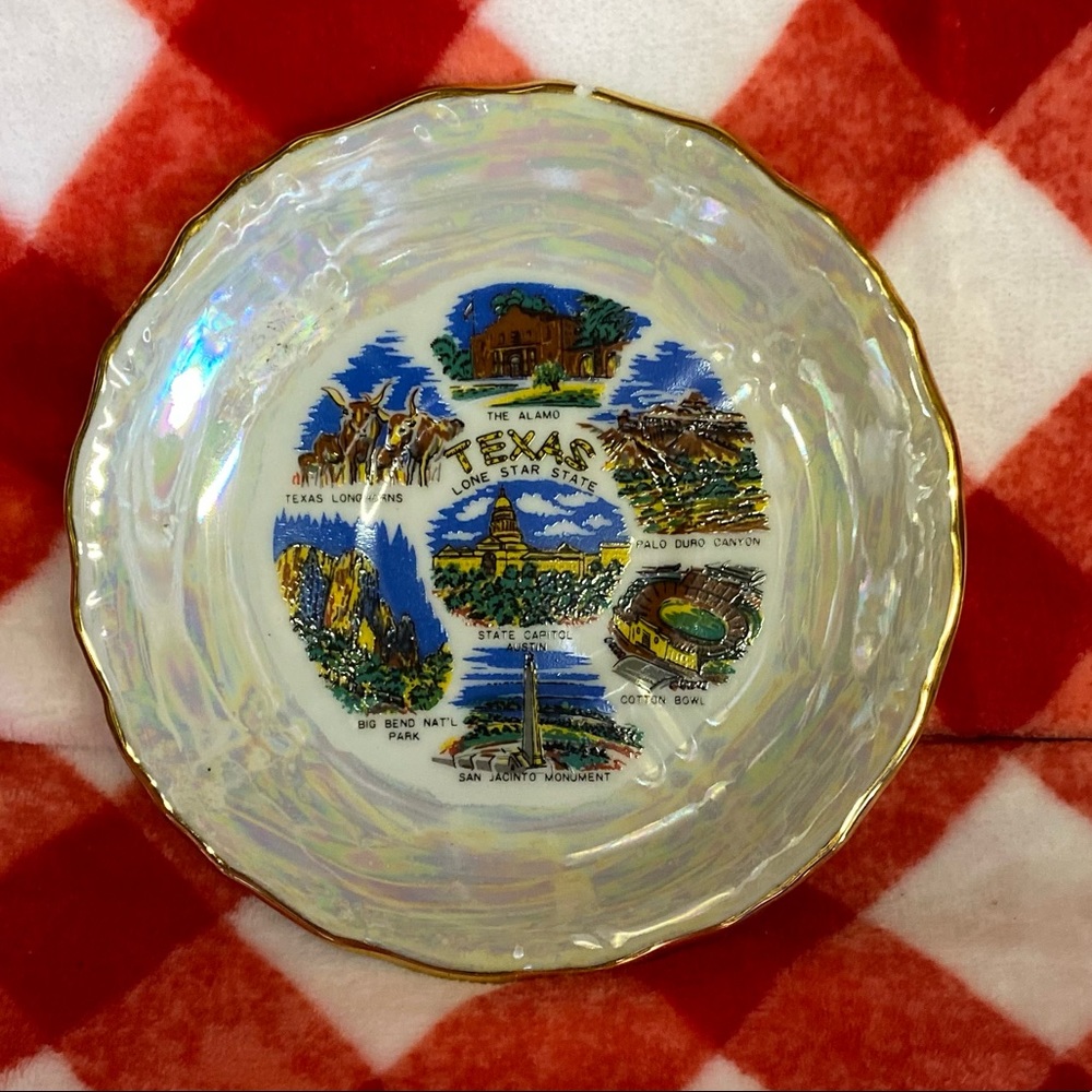 Texas Collectible Plate